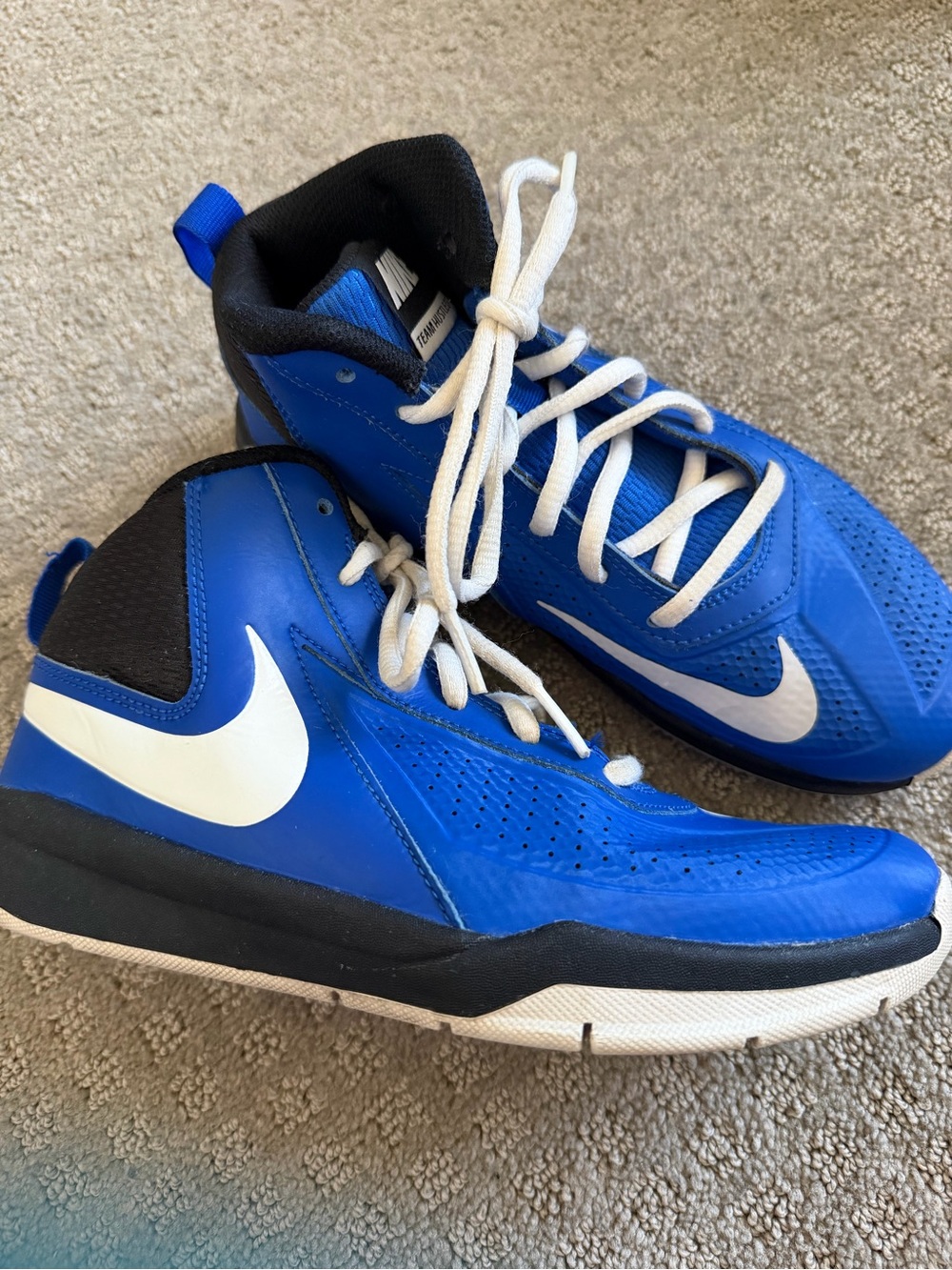 Nike Team Hustle Sneakers